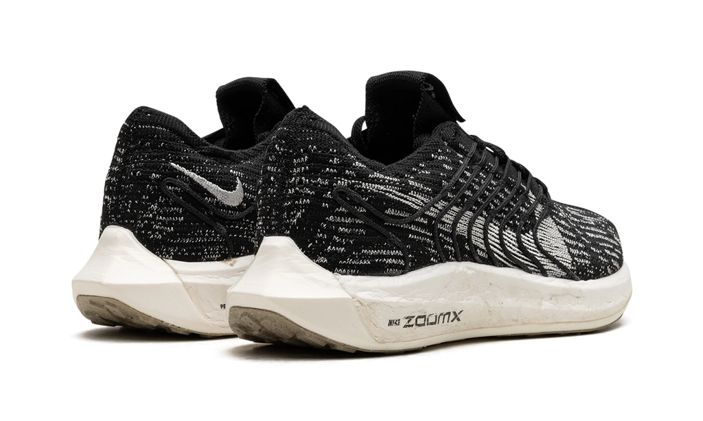 PEGASUS TURBO NEXT NATURE WMNS "Black Sail" DM3414 001