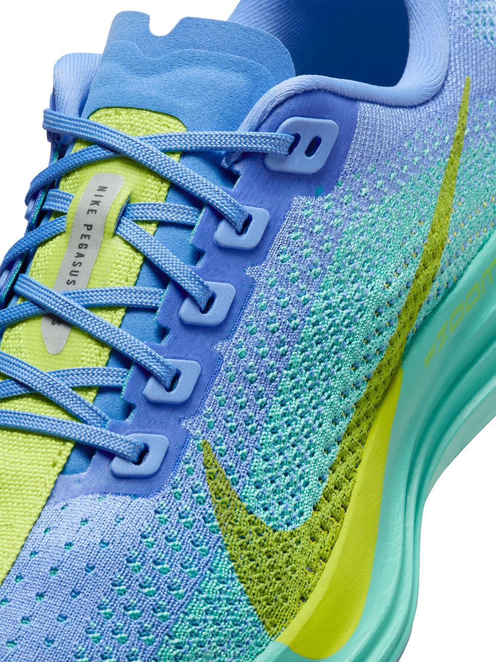 Nike Pegasus Plus Womens Shoes