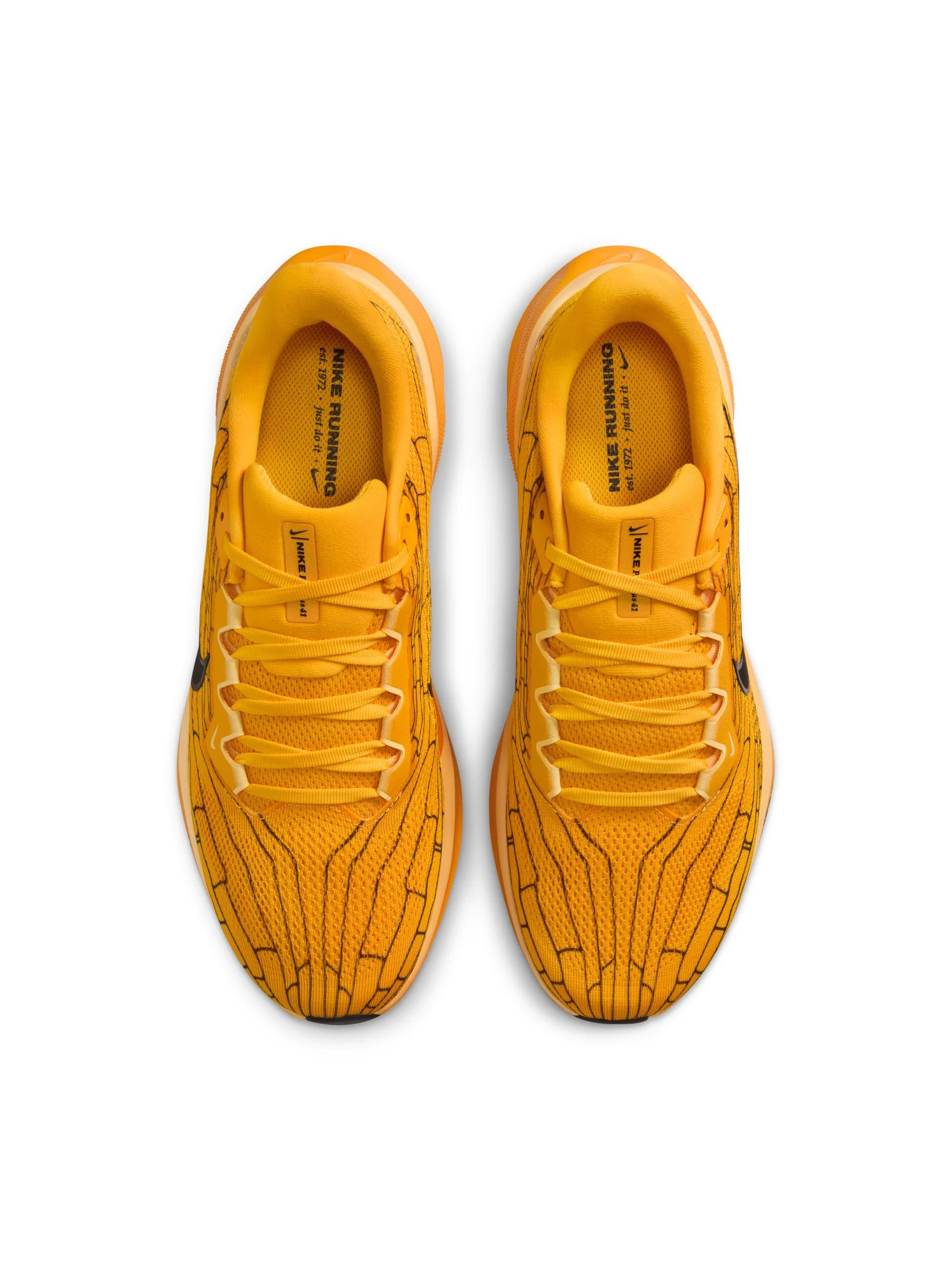Nike Air Zoom Pegasus 41 Mens Shoes