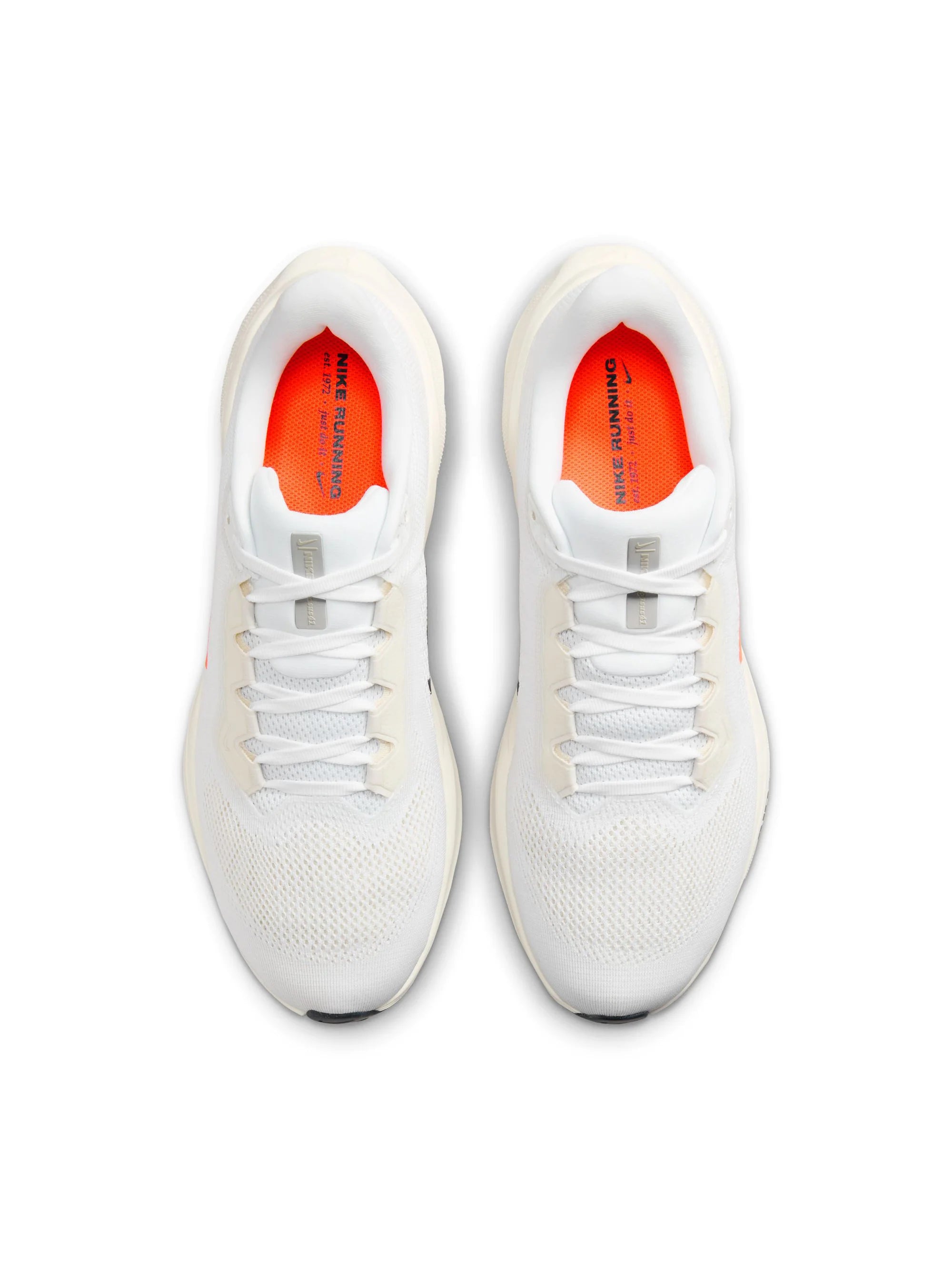 Nike Air Zoom Pegasus 41 Mens Shoes