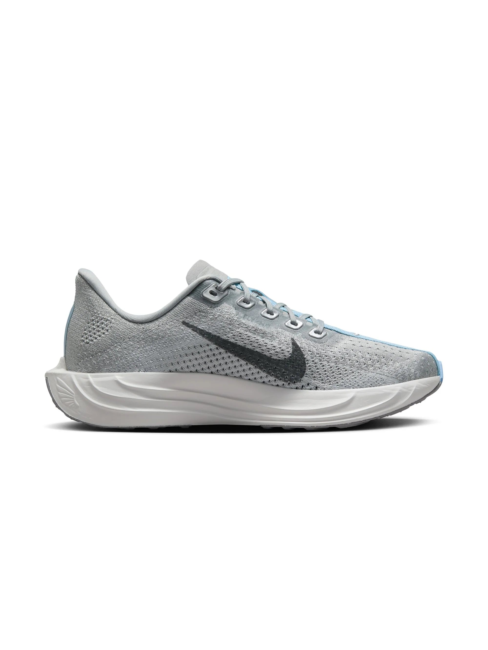Nike Pegasus Plus Womens Shoes