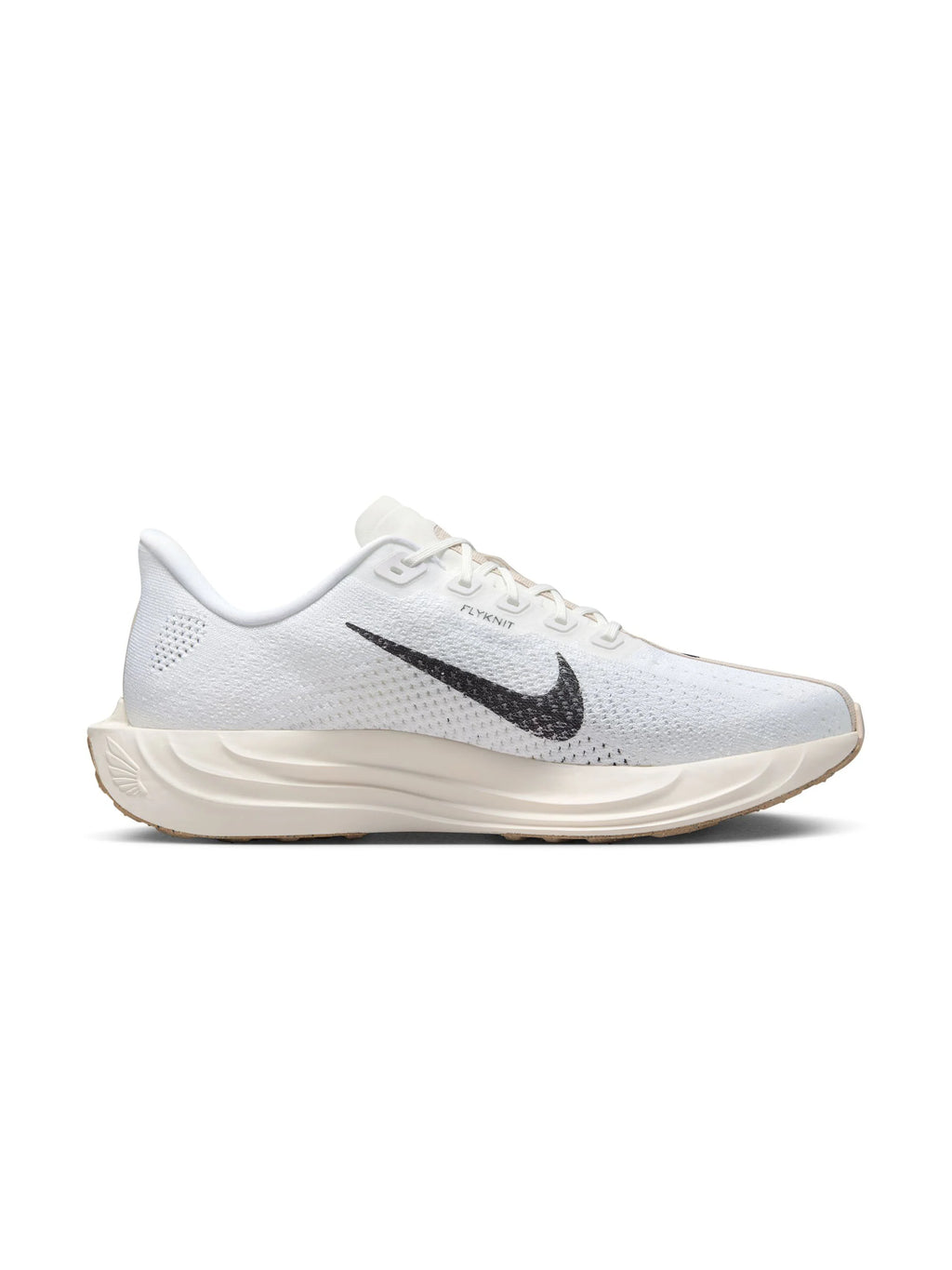 Nike Pegasus Plus Mens Shoes