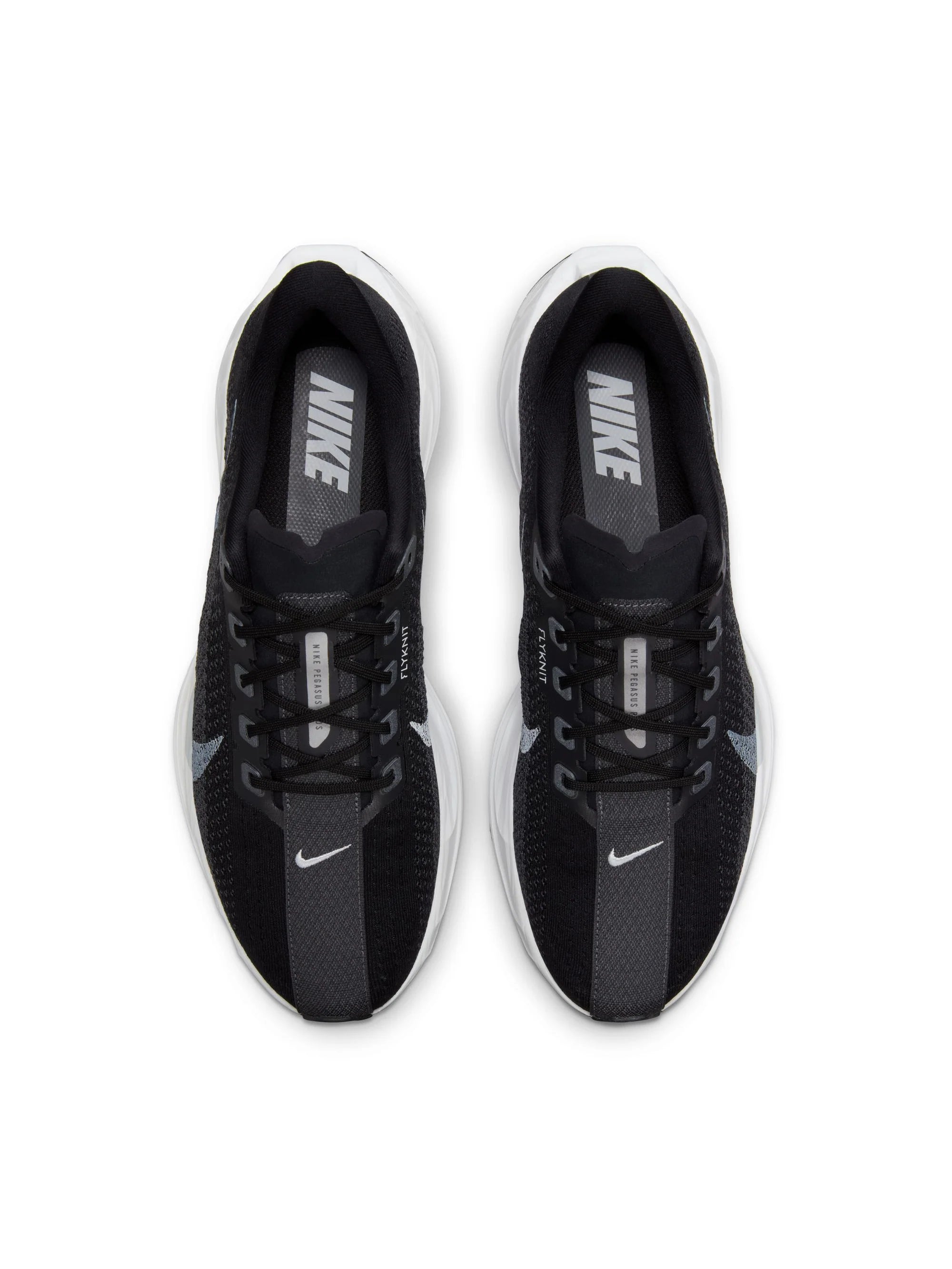 Nike Pegasus Plus Mens Shoes