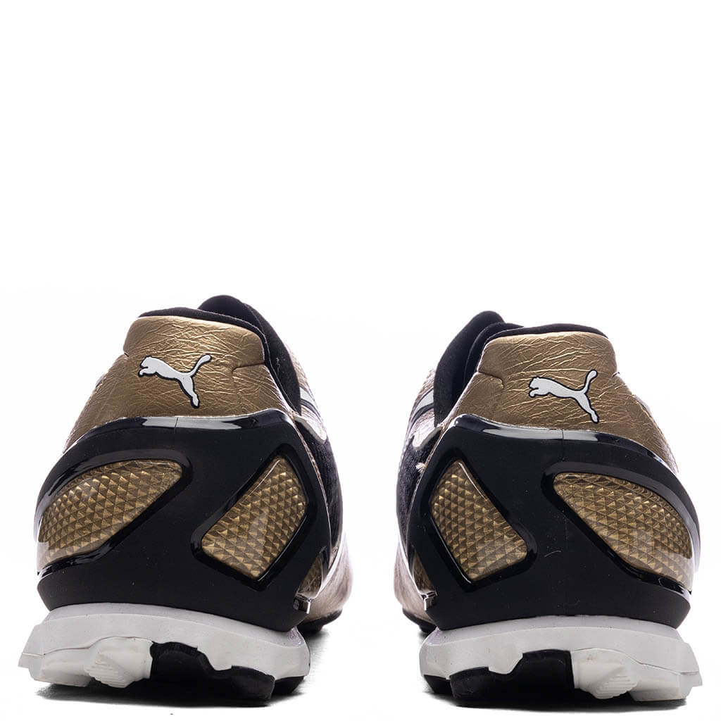 V S1 Metallic Gold Black