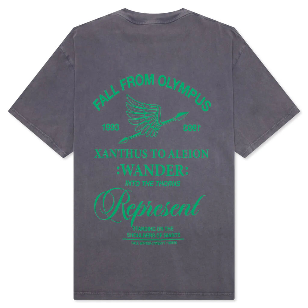 Fall From Olympus T Shirt Storm