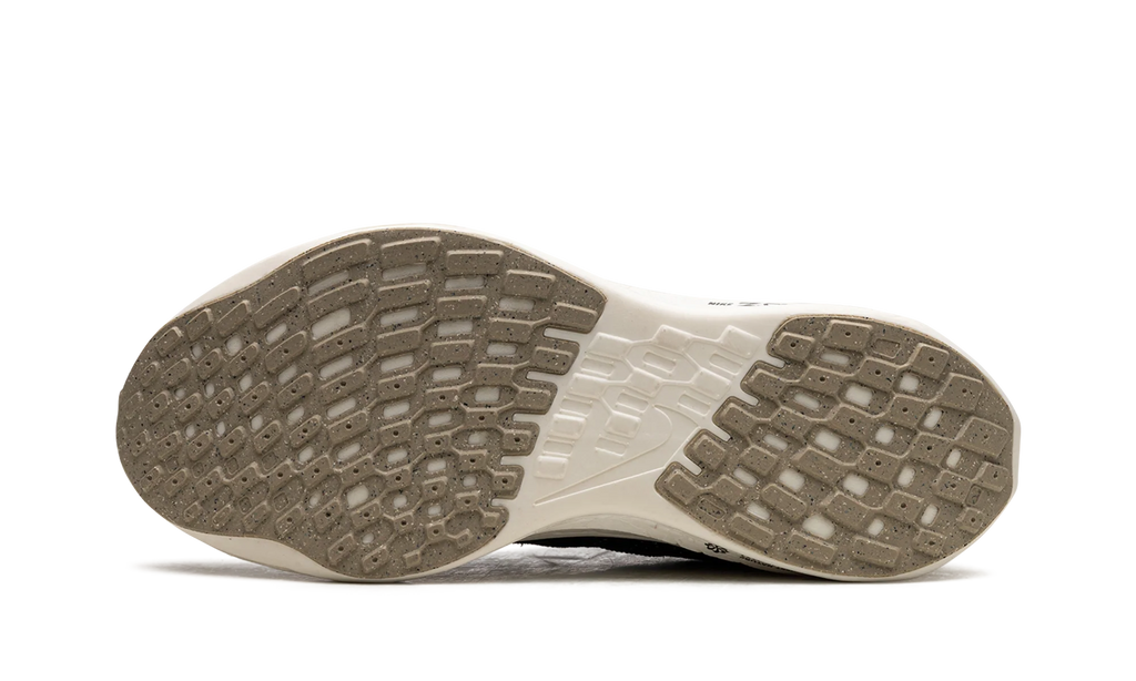 PEGASUS TURBO NEXT NATURE WMNS "Black Sail" DM3414 001