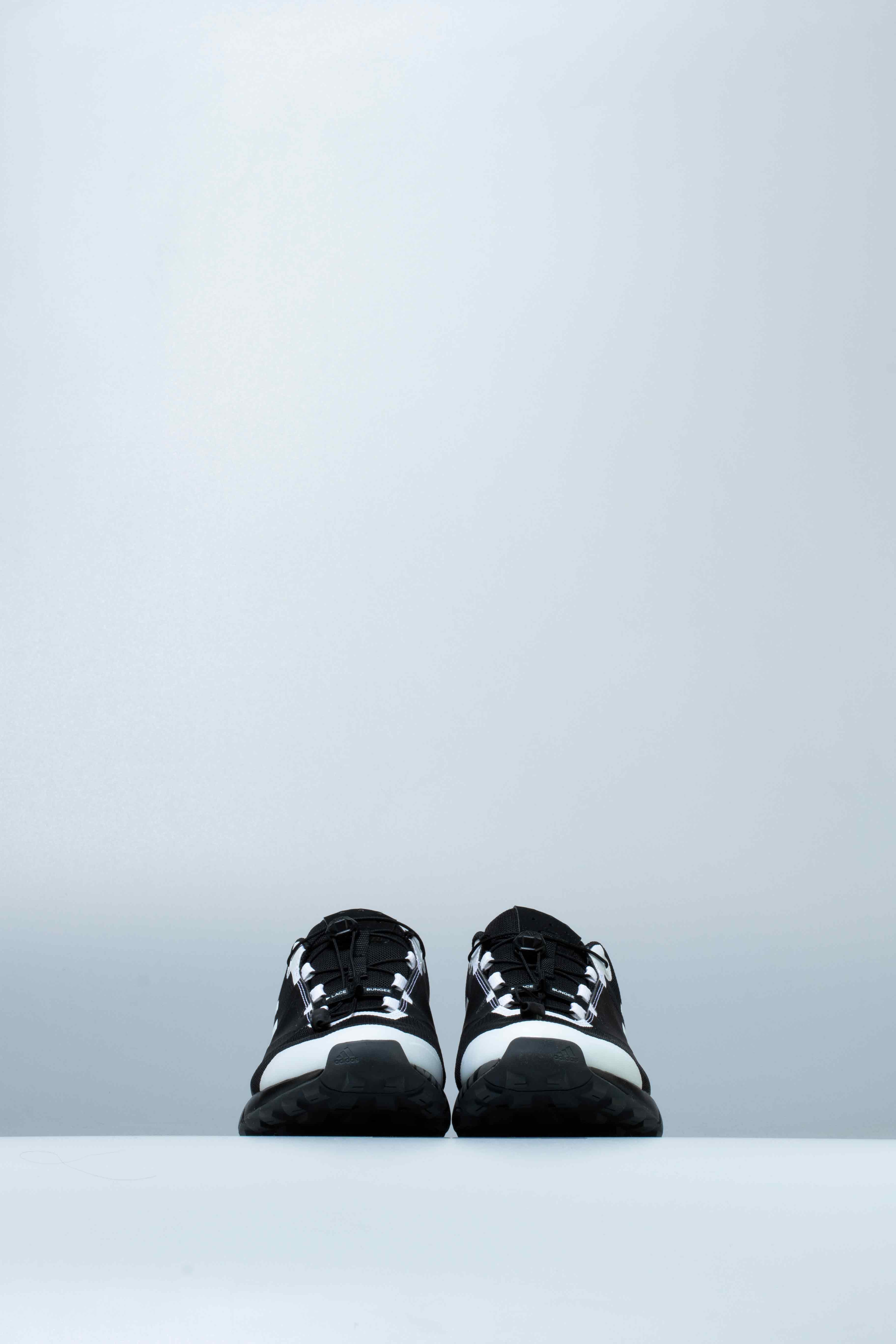Terrex Two GTX Mens Shoe Black White