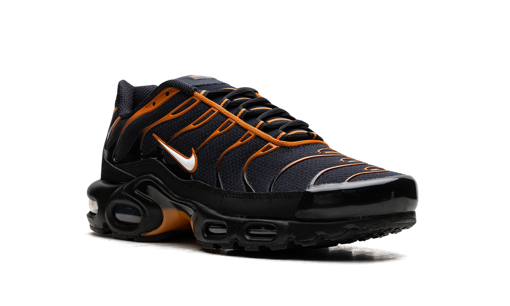 Air Max Plus "OBSIDIAN MONARCH" FN6949 400