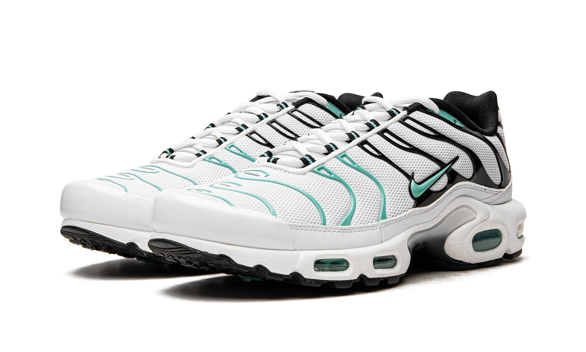 Air Max Plus "Atmos" 604133 148