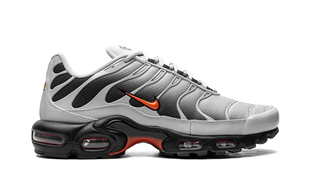 Air Max Plus "Wolf Grey Picante Red" DM0032 011