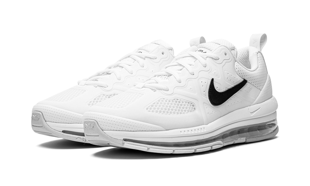 Air Max Genome