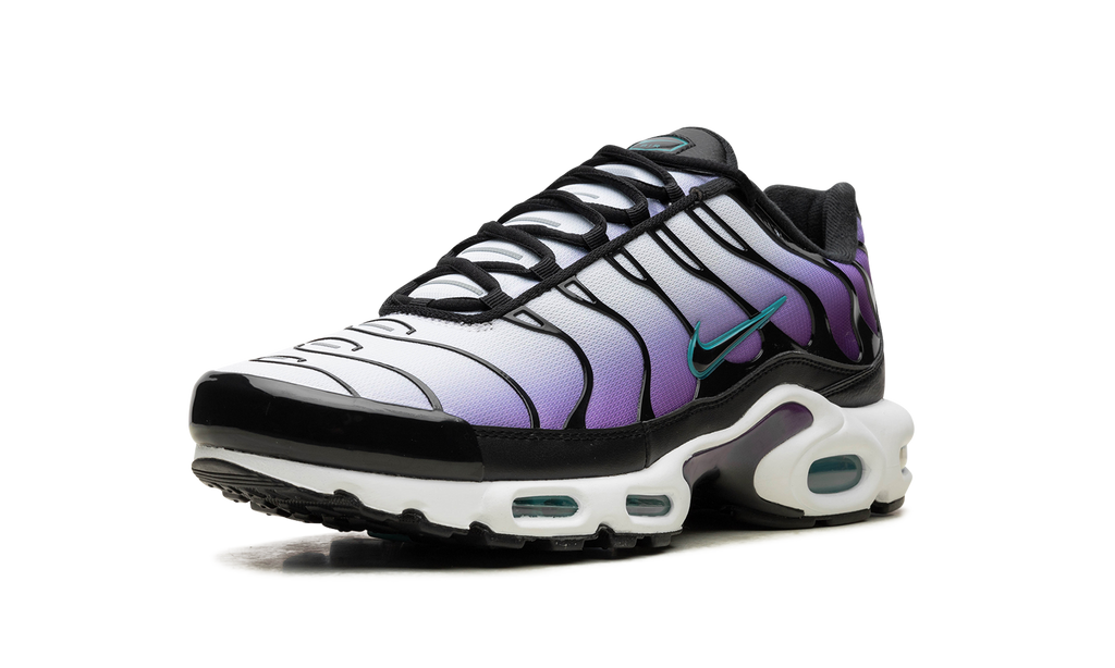 Air Max Plus "Reverse Grape" FQ2415 500