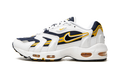 Air Max 96 2 "Goldenrod" CZ1921 100