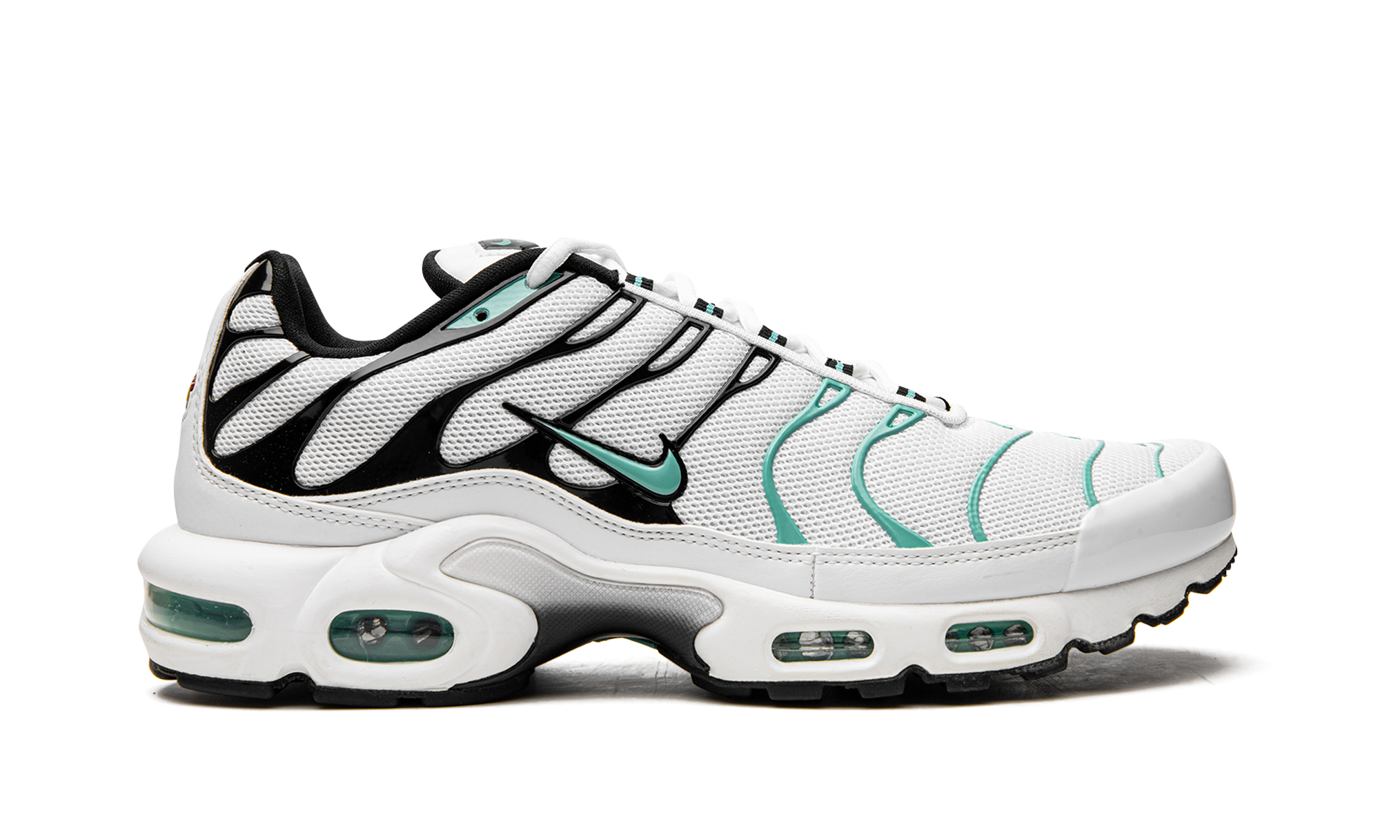 Air Max Plus "Atmos" 604133 148