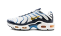 Air Max Plus CD0609 100